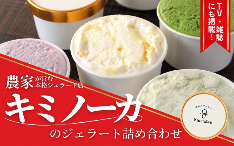  ジェラート セット 12個 9月発送 21000円 / キミノ―カ アイス クリーム スイーツ 野菜 果物【kmk105-sep-12】