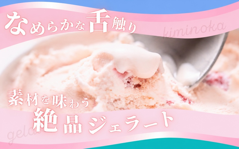  ジェラート セット 12個 9月発送 21000円 / キミノ―カ アイス クリーム スイーツ 野菜 果物【kmk105-sep-12】