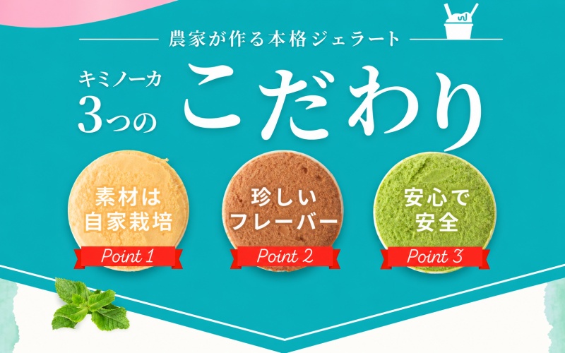  ジェラート セット 12個 9月発送 21000円 / キミノ―カ アイス クリーム スイーツ 野菜 果物【kmk105-sep-12】