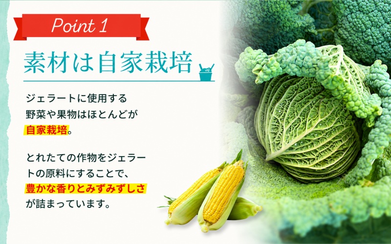 ジェラート セット 12個 9月発送 21000円 / キミノ―カ アイス クリーム スイーツ 野菜 果物【kmk105-sep-12】
