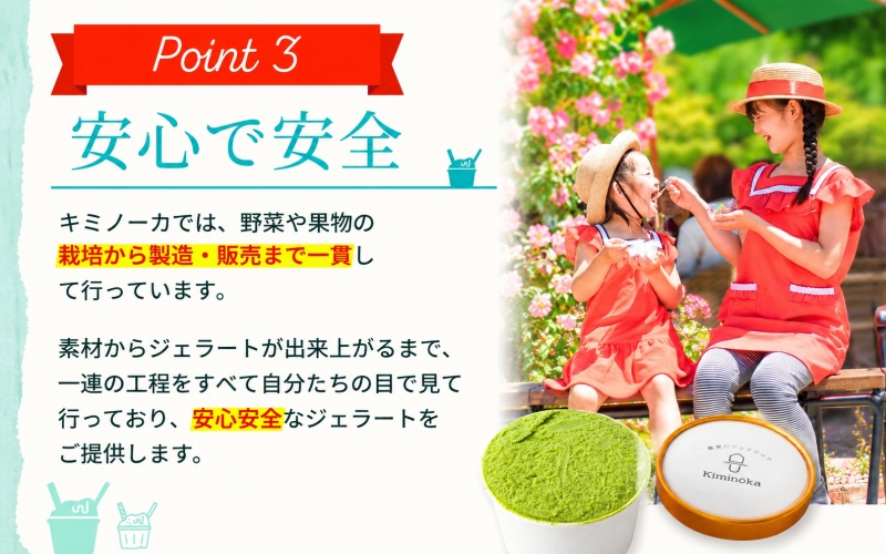 ジェラート セット 12個 9月発送 21000円 / キミノ―カ アイス クリーム スイーツ 野菜 果物【kmk105-sep-12】