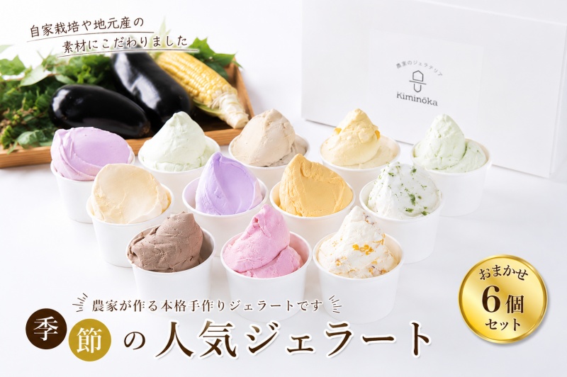 ジェラート セット 6個 1ヶ月以内発送 13000円 / キミノ―カ アイス クリーム スイーツ 野菜 果物【kmk105-r-6】