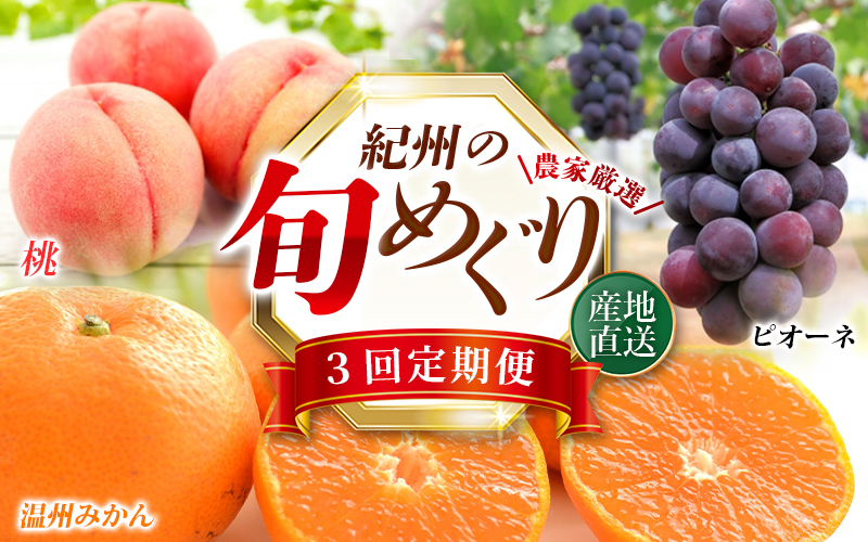 【定期便全3回】産直・和歌山フルーツ定期便（桃・ピオーネ・有田みかん） 【tkb415】