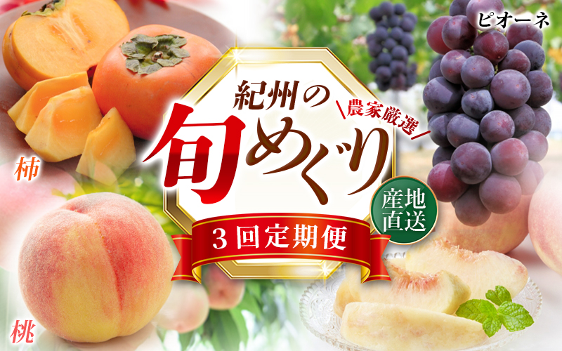 【全3回】紀州和歌山産旬のフルーツ定期便 (桃・ピオーネ・ひらたねなし柿)【tkb371】