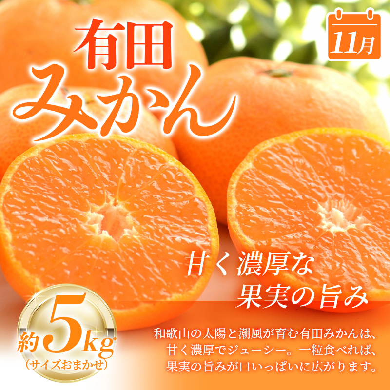 【定期便全3回】産直・和歌山フルーツ定期便（桃・ピオーネ・有田みかん） 【tkb415】