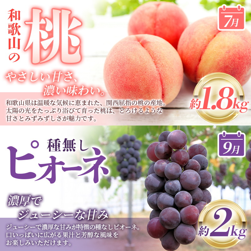 ãå
š3åãçŽå·åæå±±ç£æ¬ã®ãã«ãŒãå®æäŸ¿ (æ¡ã»ããªãŒãã»ã²ããããªãæ¿)ãtkb371ã