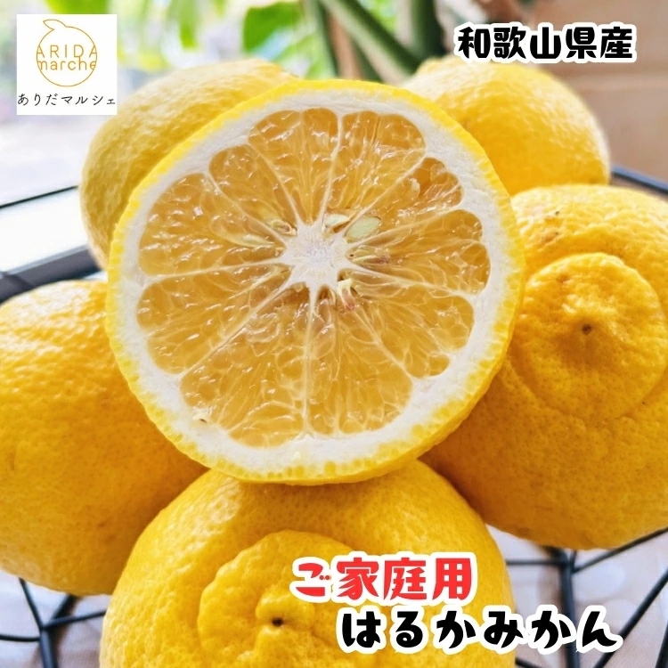 【先行予約】【人気柑橘】有田 育ちの はるか みかん（ 訳あり 家庭用 ） 7.5kg+200g(傷み補償分) / 柑橘 果物 フルーツ 和歌山 ※2027年1月下旬～2月下旬に順次発送 ※北海道・沖縄・その他離島地域は発送不可　【ard019-c-7d5】