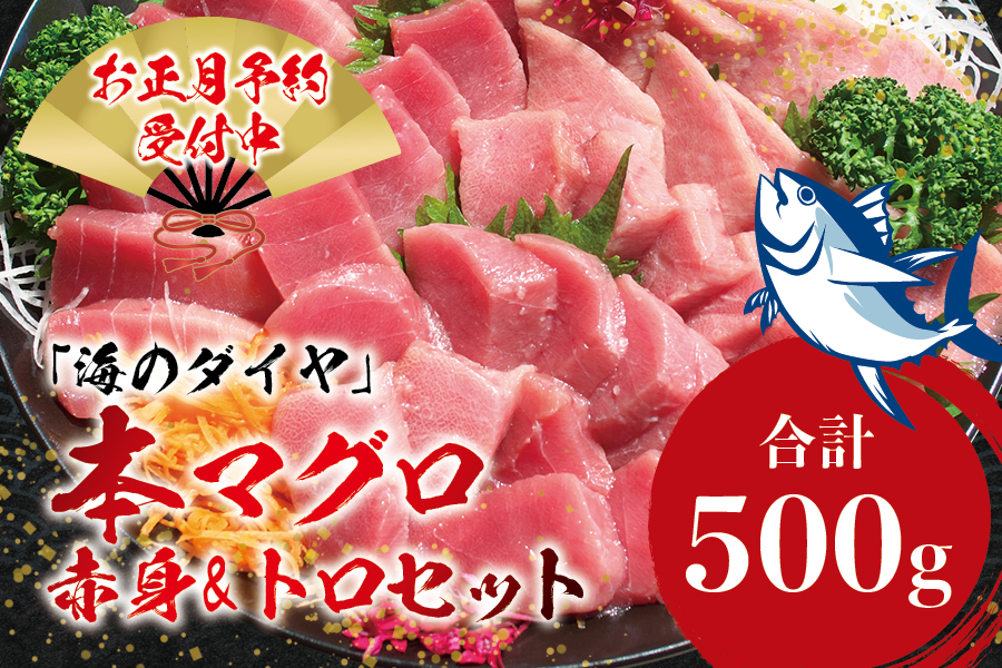 本マグロ（養殖）トロ＆赤身セット 500g 【12月26日～30日に発送】 / 高級 クロマグロ 中トロ 中とろ まぐろ マグロ 鮪 刺身 赤身 柵 じゃばらまぐろ 本マグロ 本鮪【nks110B-sg】