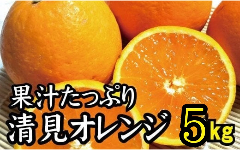 【農家直送】果汁たっぷり！清見オレンジ 約5kg 有機質肥料100%  サイズ混合 ※2026年3月上旬より順次発送予定（お届け日指定不可）/ミカン 蜜柑 柑橘 清見 清見オレンジ フルーツ 果物 【nuk112B】