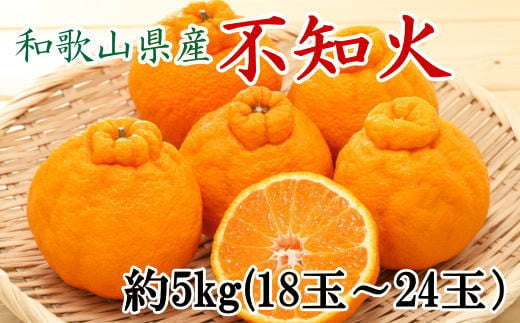 和歌山県産不知火約5kg（18玉～24玉おまかせ）　※2025年2月下旬～2025年3月中旬頃発送予定（お届け日指定不可）【tec956】