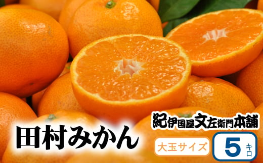  田村みかん 5kg 秀品【大玉サイズ】紀州和歌山有田郡湯浅町田村地区産 ◆2024年11月下旬～2025年1月中旬頃に発送(お届け日指定不可)　紀伊国屋文左衛門本舗 / 田村みかん みかん 蜜柑 柑橘 果物 フルーツ 【kmtb305A】