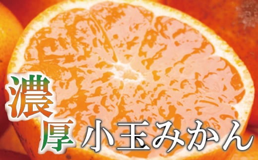 家庭用　小玉な有田みかん7.5kg+225g（傷み補償分）【わけあり・訳あり】【光センサー選果】＜11月上旬より順次発送予定＞/ みかん 果物 和歌山 果実 フルーツ有田 小玉 ミカン 柑橘【ikd118B】