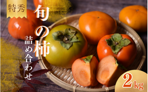 【☆令和7年産☆先行予約】【特秀】紀美野町産 旬の柿詰め合わせ 約2kg 【2025年10月上旬～11月下旬に順次発送致します。】/ 和歌山県 紀美野町 カキ 柿 太秋柿 紀ノ川柿 富有柿 早秋柿 秀品【frt010A】