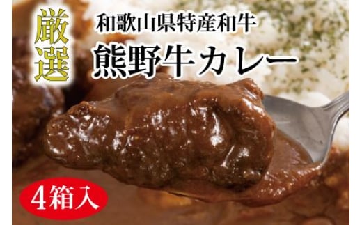 特選黒毛和牛 熊野牛カレー ４箱 【mtf102】