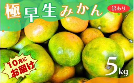 【2024年秋頃発送予約分】【訳あり】こだわりの極早生みかん 約5kg ※2024年10月上旬より順次発送予定（お届け日指定不可） 有機質肥料100% サイズ混合 有田産【nuk165】