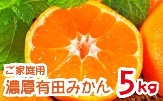 農園直送！完熟有田みかん 5kg ＜12月発送 （12月上旬～12月下旬）＞※北海道・沖縄・離島配送不可/みかん 蜜柑 フルーツ くだもの 果物 柑橘 【ard002B-2】