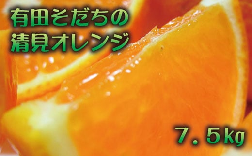 【2025年3月上旬～発送】有田育ちの完熟清見オレンジ(ご家庭用)　約7.5kg　※北海道・沖縄・離島配送不可 / みかん ミカン オレンジ 柑橘 フルーツ 果物 旬【ard018A】