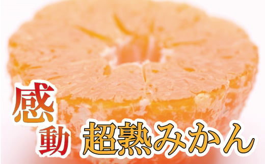 家庭用 超熟有田みかん5kg+150g（傷み補償分）【わけあり・訳あり】【光センサー選果】/ 和歌山 みかん ミカン 果物 フルーツ 果実【ikd019B】