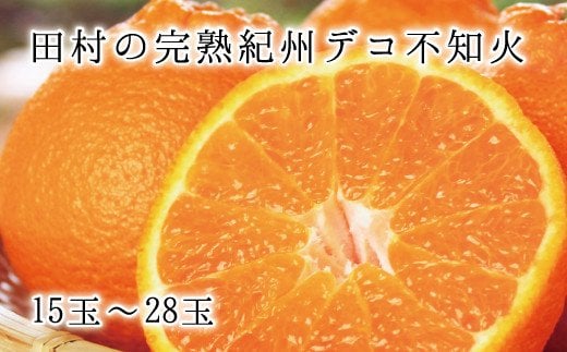  高級ブランド田村の完熟紀州デコ(不知火)　※2025年2月中旬頃～2025年3月中旬頃に順次発送予定(お届け日指定不可) / みかん 蜜柑 フルーツ 果物 くだもの 【uot731】