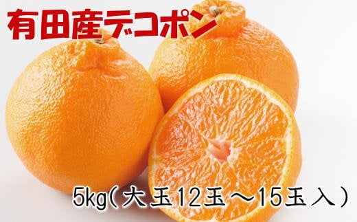 【お味濃厚】紀州有田産の大玉デコポン約5kg(12玉～15玉入り・青秀以上) ※2025年1月中旬～2025年3月中旬頃順次発送 / デコポン 不知火 フルーツ 果物 【tec811A】