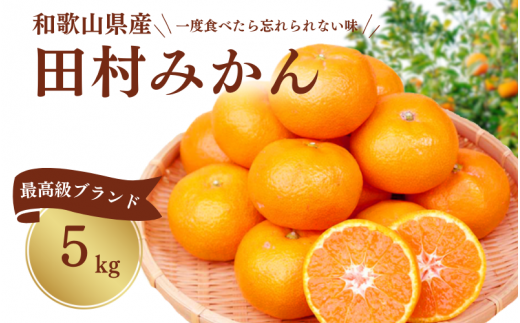  高級ブランド田村みかん 5kg ※2024年11月下旬頃～2025年1月下旬頃に順次発送予定(お届け日指定不可) / 果物 フルーツ くだもの みかん 【uot504】