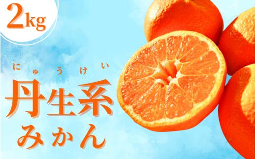 【L～3Lサイズおまかせ】※秀優混合 丹生系みかん 2kg ※箱込み【2025年2月初旬から2月下旬頃発送予定】＜味好農園＞/ 丹生系 にゅうけい みかん 柑橘 果物 フルーツ ミカン 訳あり 秀品 優品【agy029A】