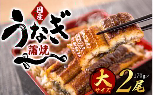 大型サイズ ふっくら柔らか国産うなぎ蒲焼き ２尾/うなぎ 蒲焼 鰻 国産 冷凍 【uot302A-3】