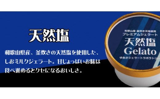  プレミアムジェラート 天然塩12個セット アイスクリームセット 100mlカップ ゆあさジェラートラボラトリー / アイス アイスクリーム ジェラート スイーツ 【kmtb700-04】