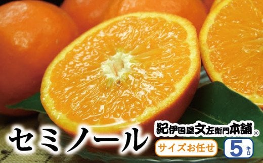 セミノールオレンジ 約5kg/サイズおまかせ　※2025年4月中旬～5月下旬頃に順次発送予定(お届け日指定不可)　紀伊国屋文左衛門本舗 / セミノールオレンジ 蜜柑 みかん 柑橘 果物 フルーツ【kmtb481A】