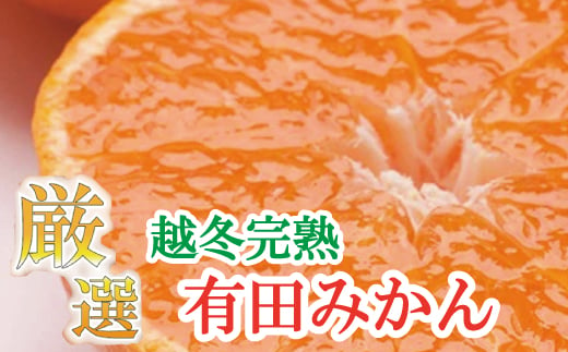 厳選 越冬完熟みかん5kg+150g（傷み補償分）【ハウスみかん】【光センサー選果】みかん ミカン 柑橘 果物 フルーツ 果実 オレンジ 完熟【ikd026B】