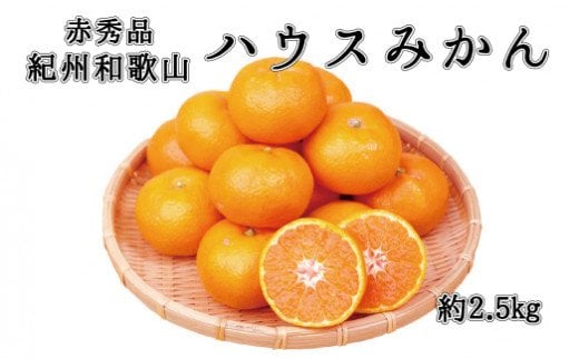  赤秀品　紀州和歌山ハウスみかん2.5kg【予約】※2025年6月下旬頃?2025年7月中旬頃に順次発送予定(お届け日指定不可) / みかん 蜜柑 フルーツ 果物 くだもの 【uot735】