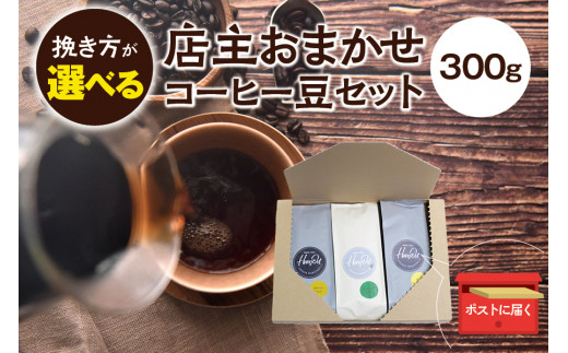 【中挽き】店主おまかせ 挽き立てコーヒー豆3種類セット(100g×3種類） / コーヒー豆 コーヒーセット 挽き立てコーヒー【hgo003-b】