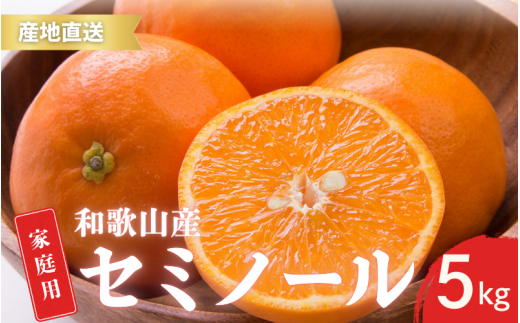 【先行予約】ご家庭用 セミノール 和歌山 有田  S～2Lサイズ 大きさお任せ 5kg【4月下旬～5月下旬頃に順次発送】/ みかん フルーツ 果物 くだもの 蜜柑 柑橘【ktn017A】