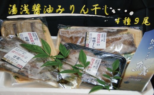  和歌山の近海でとれた新鮮魚の湯浅醤油みりん干し4品種9尾入りの詰め合わせ / 干物 ひもの あじ さんま さば アジ 秋刀魚 サバ 鯖 【tec200A】