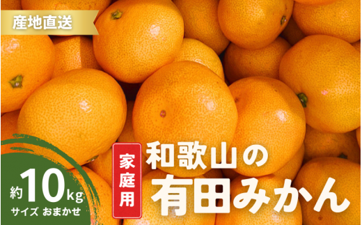 【12月発送】家庭用  有田みかん 和歌山  S～Lサイズ 大きさお任せ 10kg / みかん フルーツ 果物 くだもの 有田みかん 蜜柑 柑橘【ktn008A-12】