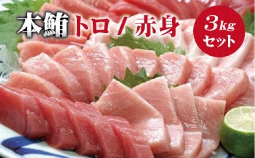 本マグロ（養殖）トロ＆赤身セット 3kg 【1か月以内に発送】高級 クロマグロ  中トロ 中とろ まぐろ マグロ 鮪 刺身 赤身 柵 じゃばらまぐろ 本マグロ 本鮪【nks112B】