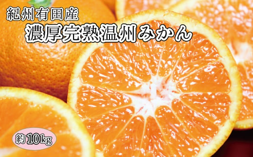  完熟有田みかん 10kg ※2024年11月下旬頃～2025年1月下旬頃に順次発送予定(お届け日指定不可)/果物 フルーツ くだもの みかん 【uot705】