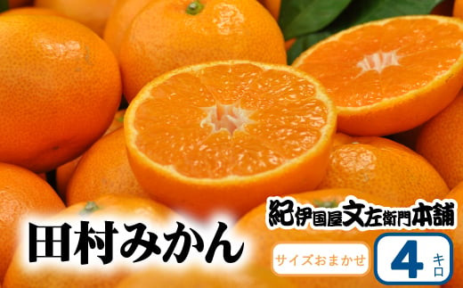  田村みかん 秀品 4kg サイズおまかせ / 紀州和歌山有田郡湯浅町田村地区産 ◆2024年11月下旬～2025年1月中旬頃に発送(お届け日指定不可)　紀伊国屋文左衛門本舗 / 田村みかん みかん 蜜柑 柑橘 果物 フルーツ 【kmtb307A】