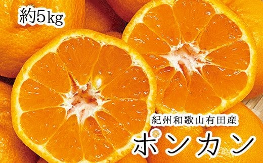  紀州和歌山有田産ポンカン　5kg　※2025年2月上旬頃～2月下旬頃に順次発送予定(お届け日指定不可) /みかん 蜜柑 フルーツ 果物 くだもの 【uot722】