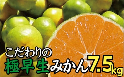 【2025年秋頃発送予約分】＼光センサー選別／ 【農家直送】こだわりの極早生みかん 約7.5kg 【数量限定】 有機質肥料100% サイズ混合 ※2025年9月下旬より順次発送予定（お届け日指定不可） 有田産【nuk136B】