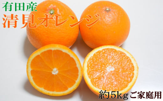 【先行予約】【濃厚】有田産清見オレンジ約5kg(M～3Lサイズおまかせ)ご家庭用 ※2027年2月中旬～2027年3月中旬頃発送予定（お届け日指定不可）/ みかん くだもの 果物 フルーツ 柑橘 オレンジ 清見オレンジ【tec959A】