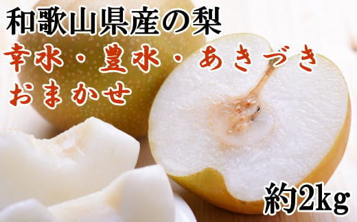 [数量限定]  和歌山県産 の 梨 約2kg (品種おまかせ)  / フルーツ 梨 なし くだもの 果物 和歌山 おすすめ 人気 ※2027年8月下旬～9月下旬頃に順次発送予定 【tec503-r-2A】