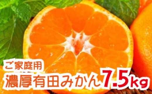 農園直送！完熟有田みかん　7.5kg  ＜12月発送（12月上旬～12月下旬）＞※北海道・沖縄・離島配送不可【ard003B-2】