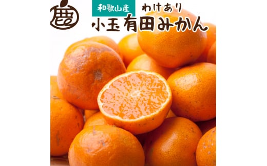 家庭用 小玉な有田みかん2.5kg+75g（傷み補償分）【わけあり・訳あり】【光センサー選果】※北海道・沖縄・離島への配送不可 / みかん 果物 フルーツ オレンジ ミカン 果実 【ikd153A】