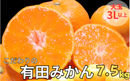有田みかん　約7.5kg  大玉3L以上　有機質肥料100%　※2025年12月初旬～1月中旬に順次発送(お届け日指定不可)/ミカン 蜜柑 柑橘 フルーツ くだもの 果物 早生 温州 有田 【nuk158C】