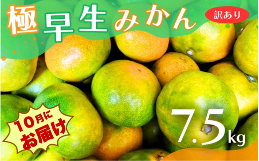 【2024年秋頃発送予約分】【訳あり】こだわりの極早生みかん 約7.5kg ※2024年10月上旬より順次発送予定（お届け日指定不可） 有機質肥料100% サイズ混合 有田産【nuk166】