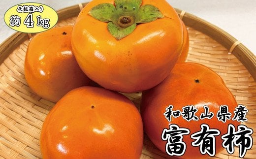  和歌山秋の味覚 富有柿 約4kg 化粧箱入 ※2024年11月上旬頃?2024年11月下旬頃に発送（お届け日指定不可） / 果物 フルーツ 柿 旬 人気 先行予約/柿 果物 フルーツ くだもの 先行予約 【uot703】