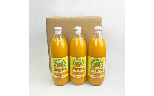 【和歌山県有田産】100%温州みかんジュース (970ml×12本セット)/ジュース みかん  【tss006A】