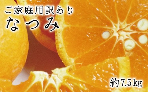  【ご家庭用訳アリ】初夏のみかん なつみ7.5kg　※2025年4月中旬～4月下旬頃に順次発送予定(お届け日指定不可) / みかん 蜜柑 フルーツ 果物 くだもの 【uot733】