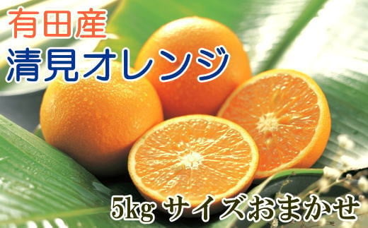 【産直】有田産清見オレンジ約5kg（サイズおまかせ・秀品）※2025年3月上旬～3月下旬頃順次発送予定（日付指定不可） /果物 くだもの フルーツ 蜜柑 みかん 【tec866A】